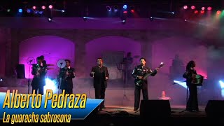 Alberto Pedraza  La guaracha sabrosona [upl. by Biernat]