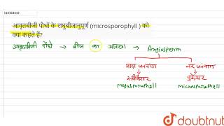 आवृतबीजी पौधों के लघुबीजानुपूर्ण microsporophyll  को क्या कहते हैं [upl. by Uahsoj219]