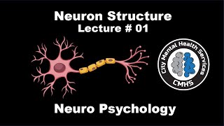 Neuron Structure  Neuro Psychology  Lecture  01 [upl. by Ibbob]