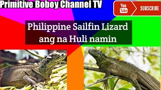 nakahulikami ng Phillippine Sailfin Lizard ibid [upl. by Ishmael]