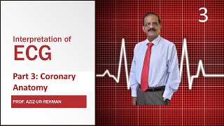 ECG Part 3 Coronary Anatomy and Pathogenesis of Infarction [upl. by Ninnahc718]