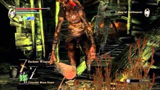 Demons Souls Expert Walkthrough 12  BOSS Leechmonger Defeated Istarelle Obtained [upl. by Ennove288]