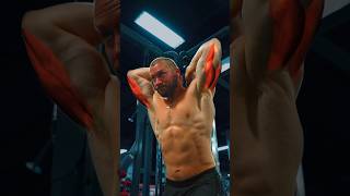 How to Target Your Triceps Most videos get this wrong [upl. by Barthelemy]