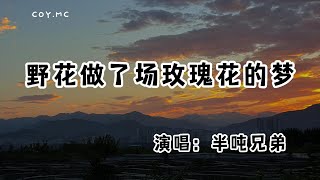 半噸兄弟  野花做了場玫瑰花的夢『原來你和我只是短暫的相擁 掏了心拼了命也沒能讓你感動』（動態歌詞Lyrics Video無損音質4k） [upl. by Cl22]