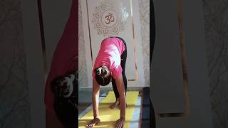 Shirshasana for beginners yogawithpahalluxmi yoga youtubeshorts improveflexibility viralshorts [upl. by Liddy]