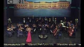 Schönbrunn Orchester [upl. by Acinoda]