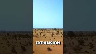 Stopping the Desert Africas Great Green Wall [upl. by Peterman]