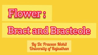 FLOWER BRACT AND BRACTEOLE  By Dr Praveen Mohil  UOR [upl. by Gherardo]