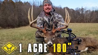 1 ACRE 180quot  Hang amp Hunt for a BOONER Whitetail [upl. by Herring]