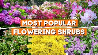 10 Most Popular Flowering Shrubs That Perfect in Any Garden 🌳🌲💚 [upl. by Rockey]