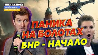 🌰 У Путина больше нет ОРЕШКОВ Брянск Курск Белгород  РЕФЕРЕНДУМУ БЫТЬ [upl. by Mesics]