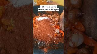 TERASI UNTUK SAMBAL PECEL LELE LAMONGAN [upl. by Callan]