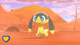 HOW TO GET Helioptile in Pokémon Sword and Shield [upl. by Forbes]