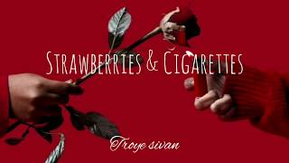 Troye Sivan  Strawberries amp Cigarettes  Lyrics Video [upl. by Qahsi662]