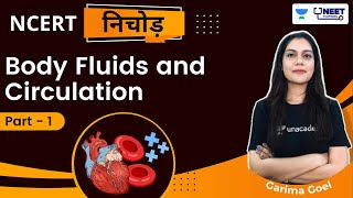 Phoenix 20 Biology Most Important Video for NEET 2025  Unacademy NEET Toppers  Udaan [upl. by Yand]