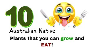 Bush Food Australia  Ten Bush Tucker Plants for your Garden  ediblegardening Permaculture [upl. by Nolyak]