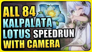 ALL 84 Kalpalata Lotus Locations WITH NAHIDA CAMERA Genshin Impact Nahida Dori Ascension Material [upl. by Asyal]