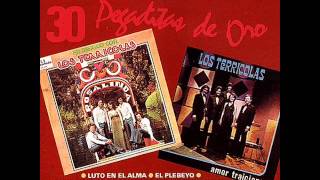 Los Terrícolas 30 Pegaditas de Oro Vol 1 1992 Disco Completo [upl. by Candace]