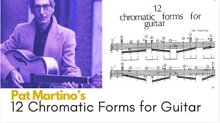 Exploring Pat Martinos 12 Chromatic Forms for the Guitar [upl. by Youlton]