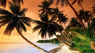 Beautiful Tropical Music amp Caribbean Music amp Hawaiian Music  Island Paradise 🌴 [upl. by Aldin]