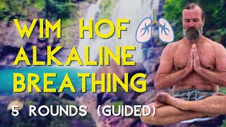 Wim Hof Alkaline Breathing  5 Rounds  Meditation [upl. by Egwin111]