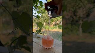 Dolce Amaro 🚨cocktails cocktails kokteyl drink gin campari vermouth negroni [upl. by Casar606]