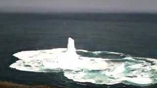 Iceberg collapses off of Signal Hill  North Trail [upl. by Atorod]