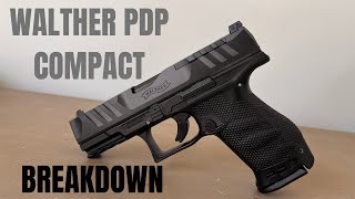 WALTHER PDP COMPACT BREAKDOWN AND CLEANING 4K VIDEO [upl. by Ewart]