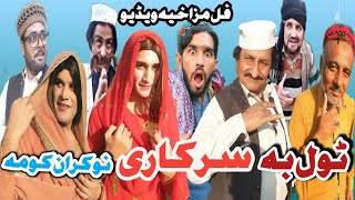 TOL BA SARKARI NOKARAN KOMA PASHTO FUNNY VIDEOby haya vines pk vines boner vines taker vines [upl. by Ostap]