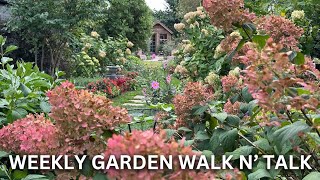 Late Summer Garden Tour  Hydrangea Landscape Design Ideas Dahlias from Seed Sunflower Successions [upl. by Ytok]