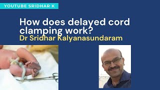 How does delayed cord clamping work Physiology behind delayed cord clamping Dr Sridhar K [upl. by Mariken]