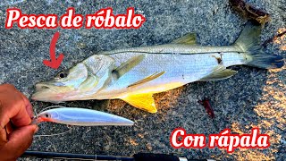 PESCA de ROBALO con ARTIFICIAL Rapala usa rapala fishing fish [upl. by Houston]