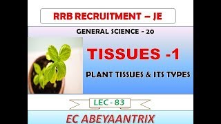 Lec 83  RRB JE  GENERAL SCIENCE  BIOLOGY  PLANT TISSUES  CBT 1 [upl. by Miki]