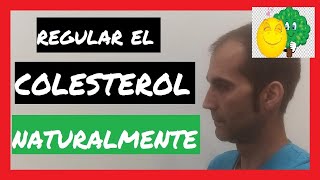 Capítulo 14 🍵 CONTROLAR el COLESTEROL de forma NATURAL [upl. by Nadeau]