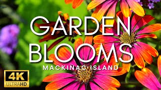 THE MOST BEAUTIFUL GARDENS IN THE WORLD  Stunning Flower Gardens amp Peaceful Music Mackinac Island [upl. by Nimajeb]