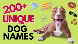 Top 200 UNIQUE Dog Names – Unisex [upl. by Lindell]