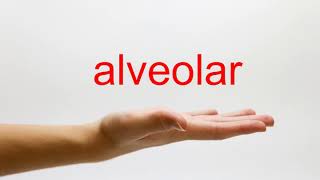 How to Pronounce alveolar  American English [upl. by Christyna]