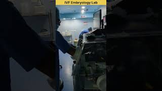 IVF Embryology Lab working ivf ivfjourney ivfspecialist embryology embryologist ivfsuccess [upl. by Anwahs]