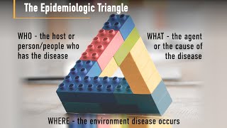 What is Epidemiology [upl. by Madelena]