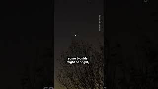 Look Up Leonid Meteor Shower amp Fireballs Explained [upl. by Dam37]