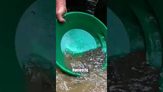 Best tip for gold panning [upl. by Ellenaj774]