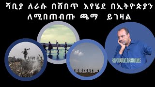 ሻቢያ ለራሱ በሸበጥ እየሄደ በኢትዮጵያን ለሚበጠብጡ ጫማ ይገዛል  seyoum teshome new [upl. by Lacagnia]