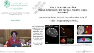 Conférence  E HEARD  La génétique de l’épigénétique  les leçons du chromosome X [upl. by Treat]