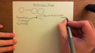 Antimitotic Drugs Part 1 [upl. by Francie]