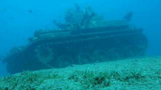 Jordanien Akaba schnorcheln Panzer Tala Bay  Jordan Aqaba snorkeling Tank 5 m deep [upl. by Rocky]