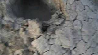 Mud Pots Near Salton Sea California [upl. by Thinia]