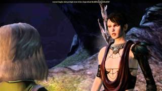 Dragon Age Origins Morrigan comments on Leliana romance [upl. by Eicyak331]