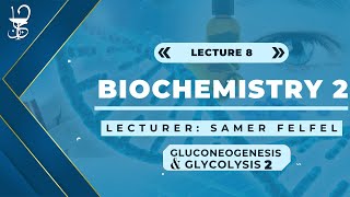 Biochemistry 2 Glycolysis part 2 amp Gluconeogenesis [upl. by Landis]