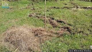 Delimitando áreas para bancales de cultivo Huerto casero [upl. by Stockmon]