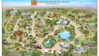 sacramento zoo [upl. by Tarazi]